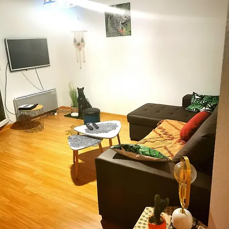 Appartement Carré De Détente Jacuzzi Jardin Piscine T3 Parking Castelnau-dʼEstrétefonds