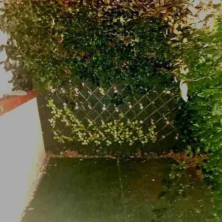 Carré De Détente Jacuzzi Jardin Piscine T3 Parking Appartamento