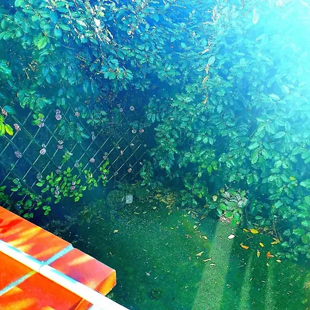 Carré De Détente Jacuzzi Jardin Piscine T3 Parking