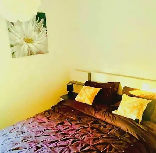 Carré De Détente Jacuzzi Jardin Piscine T3 Parking