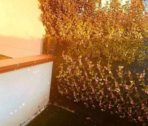 Carré De Détente Jacuzzi Jardin Piscine T3 Parking Apartamento Castelnau-dʼEstrétefonds