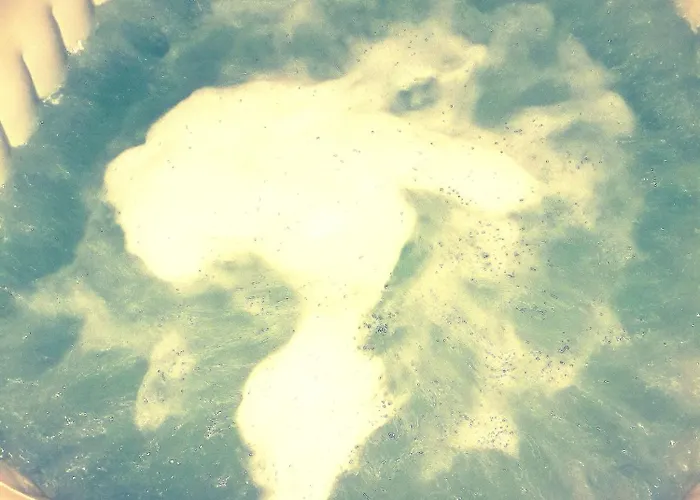 Carré De Détente Jacuzzi Jardin Piscine T3 Parking