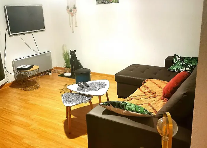 Apartamento Carré De Détente Jacuzzi Jardin Piscine T3 Parking Castelnau-dʼEstrétefonds