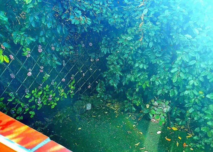 Carré De Détente Jacuzzi Jardin Piscine T3 Parking